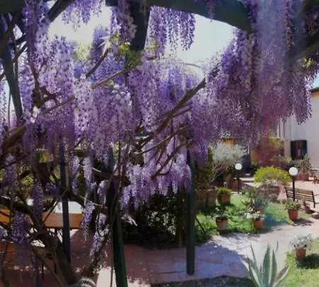 La Tinaia Φλωρεντία